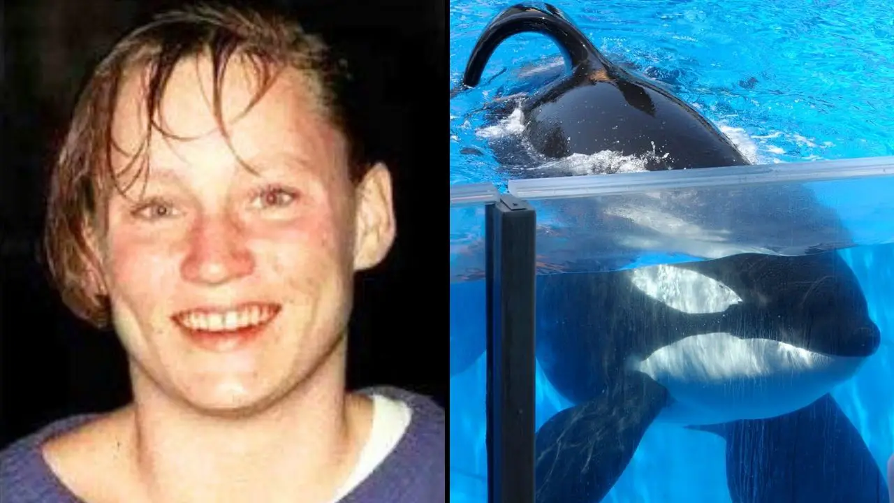 The chilling final words of trainer Keltie Byrne before she was ripped apart by a 'psychotic' trio of killer whales have been revealed.