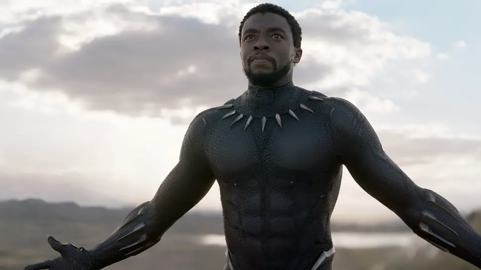 Chadwick Boseman in Black Panther.
