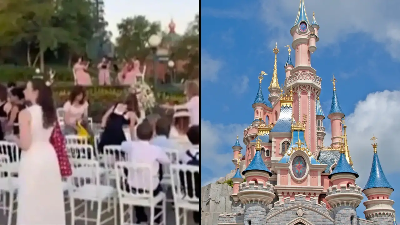 Disneyland Groom Arrested