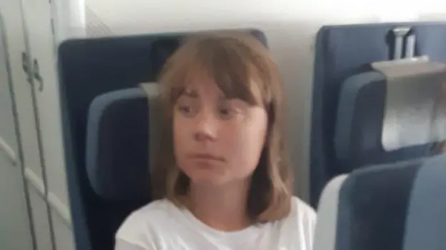 Greta Thunberg on board a plane.
