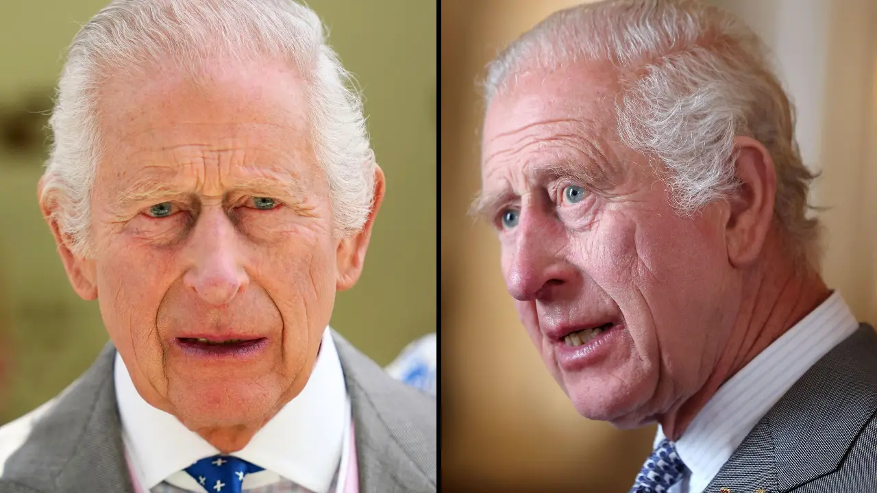 A devastating update regarding King Charles's cancer battle has emerged, leaving fans of the royals devastated.