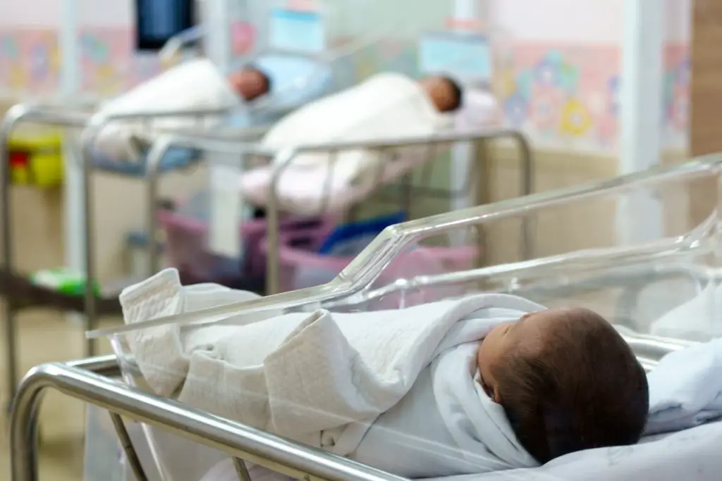 Newborn babies in hospital.