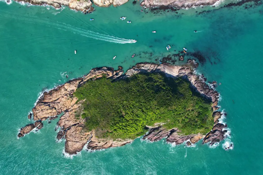 Snake Island