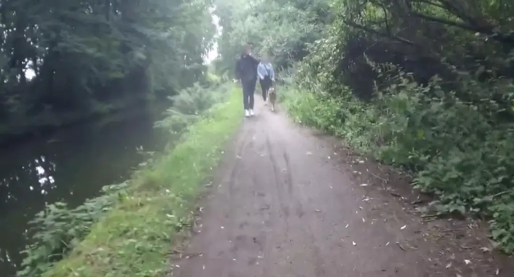 Cyclist canal assault