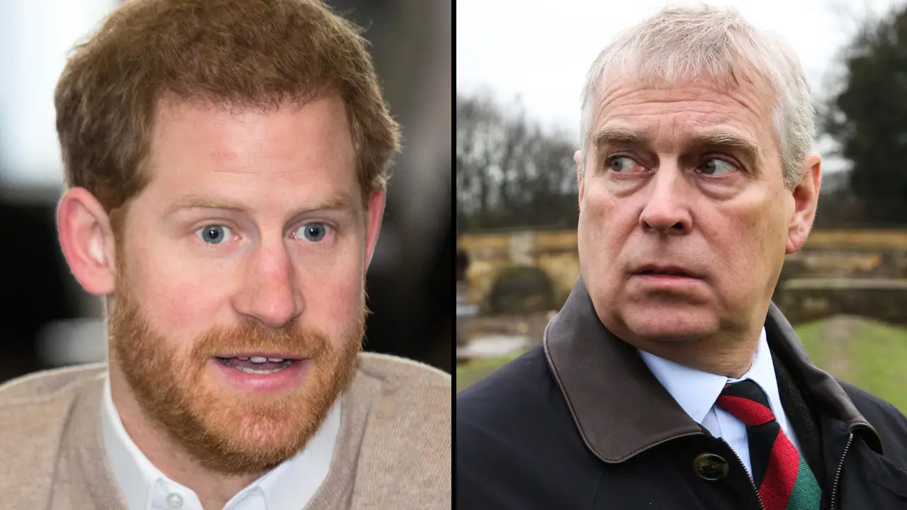 Prince Harry's team have released a statement on the royal's behalf after claims have circulated that he punched Prince Andrew.