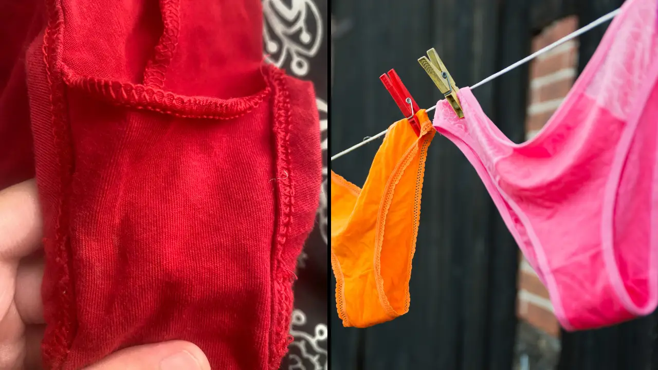 People are just realizing why there's a small pocket in women's underwear, as some reveal the real reason.