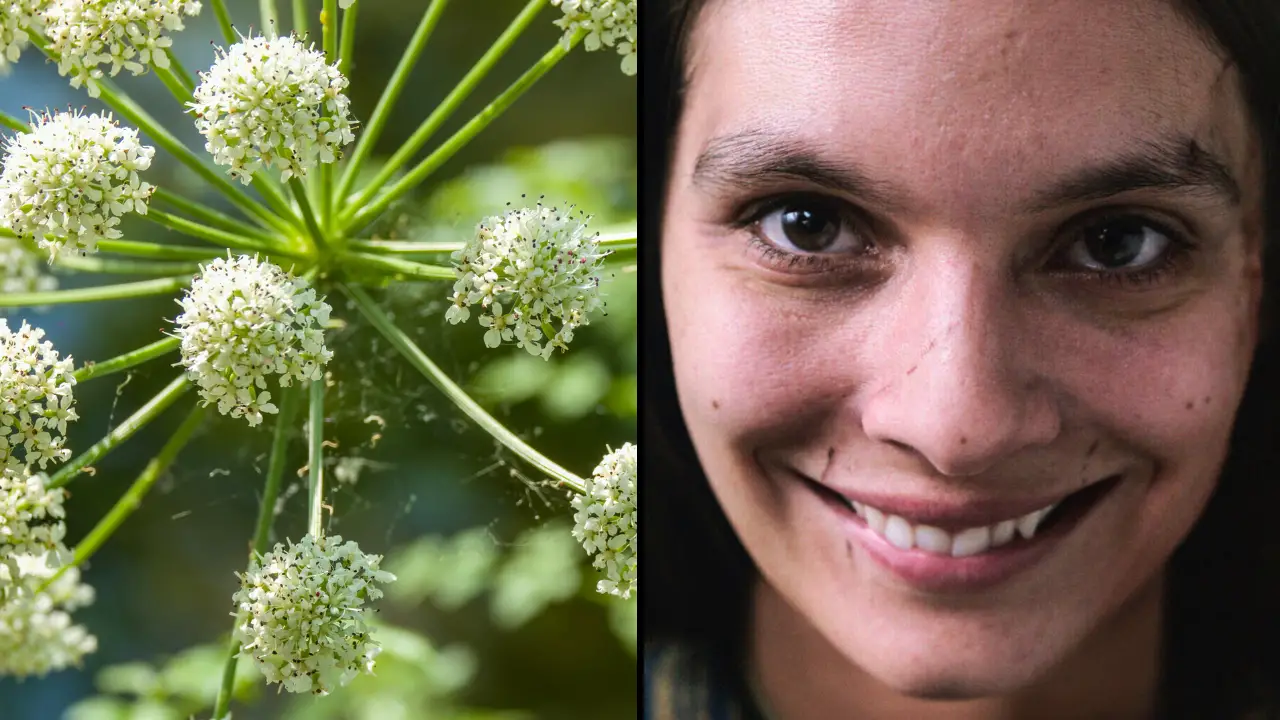 People have been warned about a poisonous plant that leaves its victims dead, but with a smile on their face.