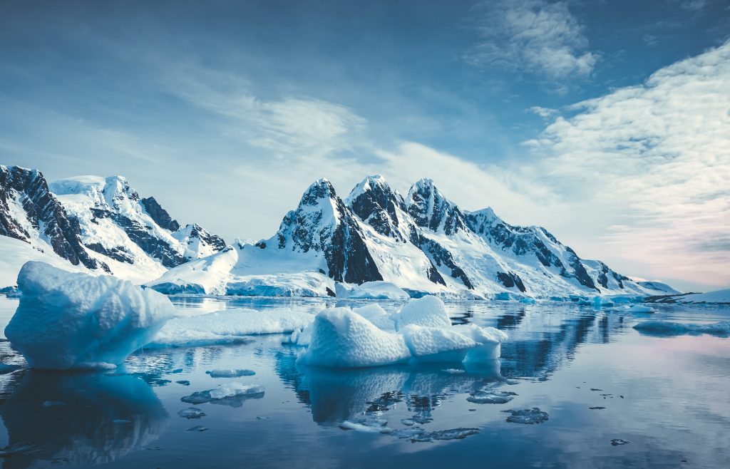 Arctic