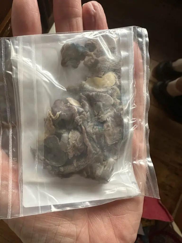 Black lung