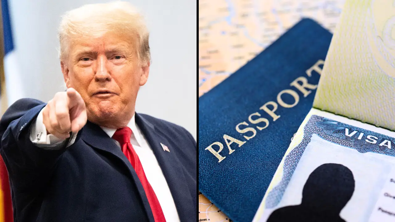 The White House has issued a list of EU countries which have now been banned from America following tensions between the two over Greenland.