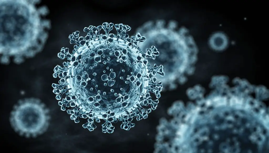Virus