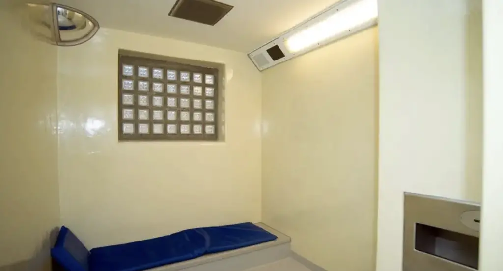 Custody cell