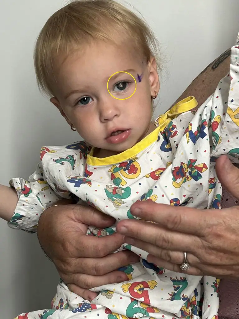 Delilah-Rose Lambert
