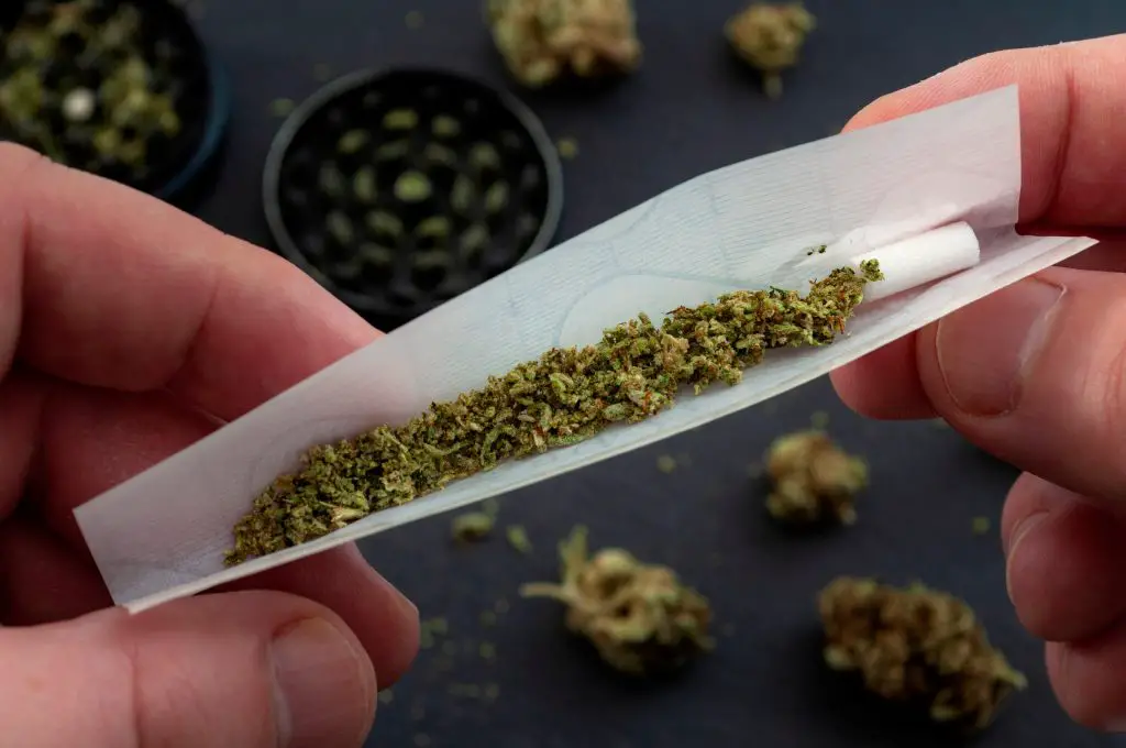 Weed