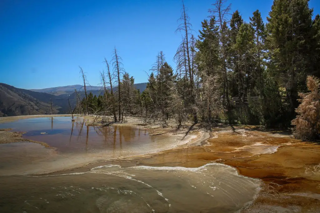 Yellowstone National Park