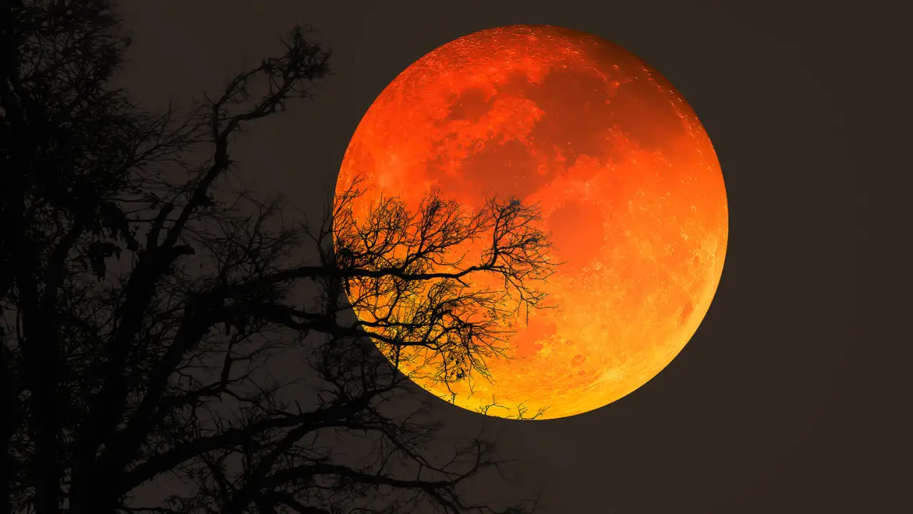Tomorrow, a rare 'blood moon' will dominate the sky, so here's where and how to see it.