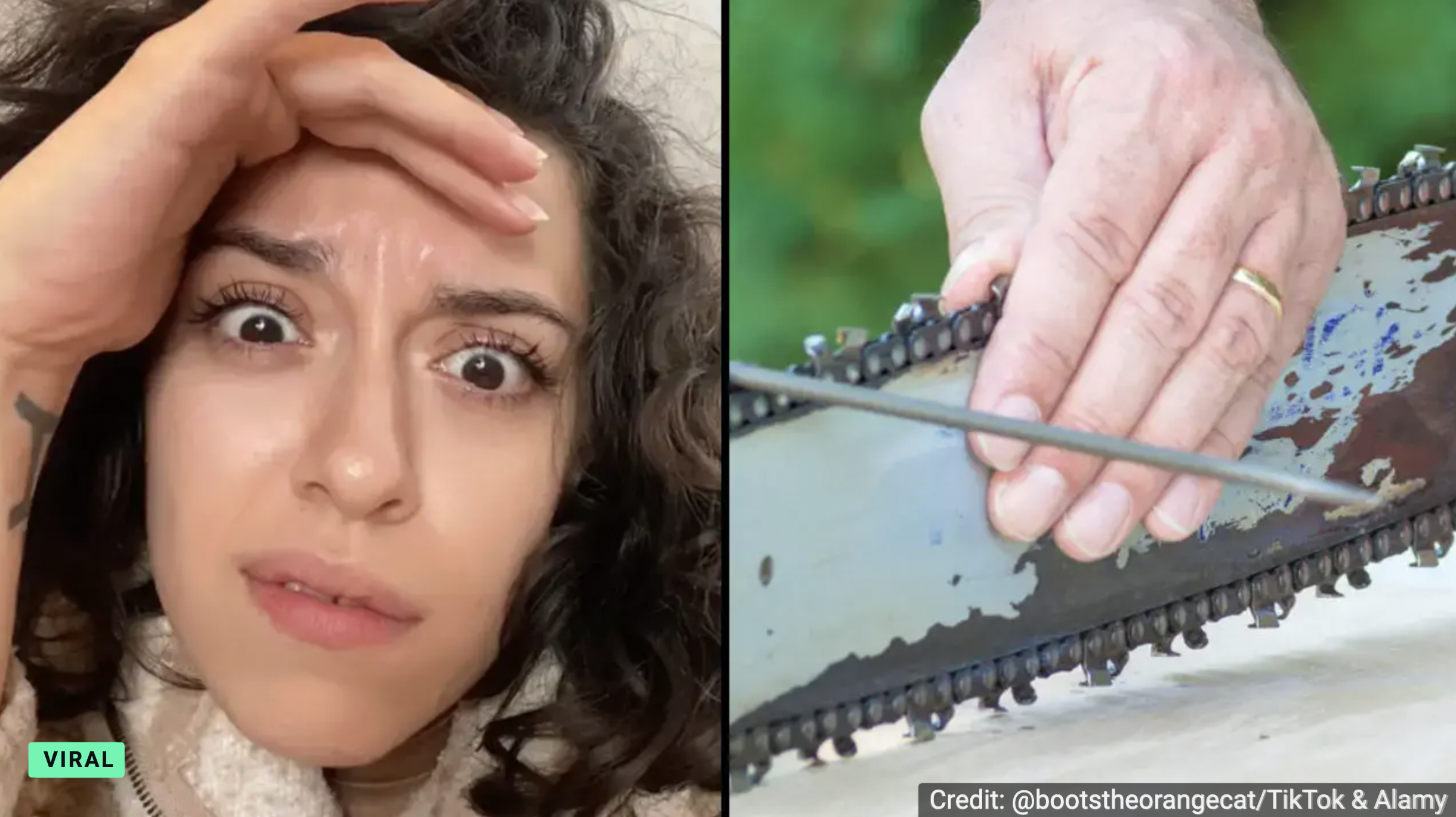 If you're a lumberjack or simply curious about the history of chainsaws, you might be wondering how and why they were invented.