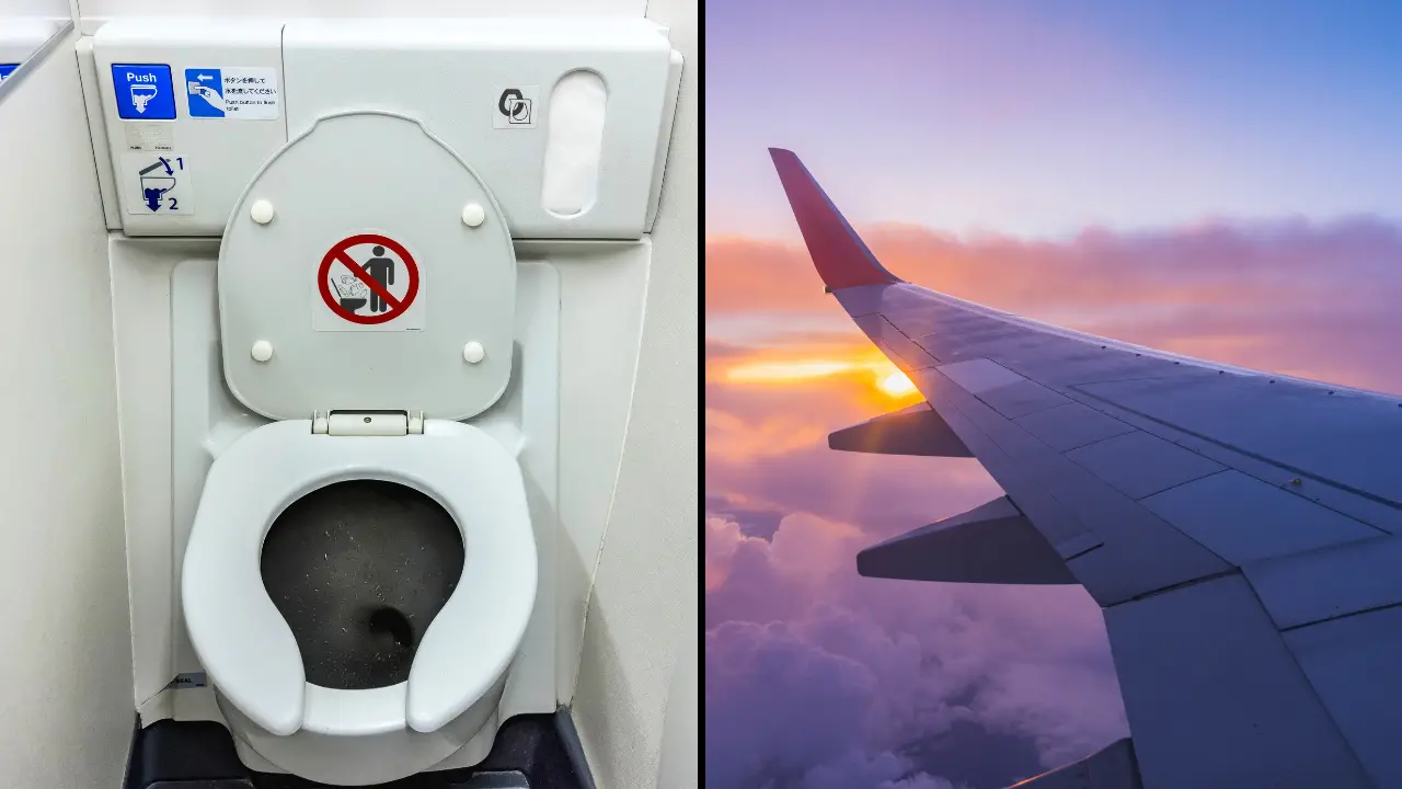 People Are Horrified After Learning What Happens When You Flush A Plane Toilet