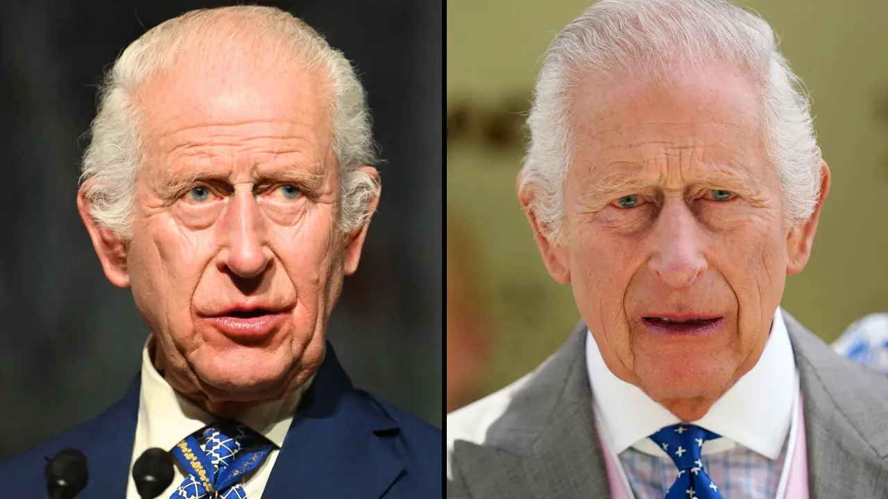 King Charles delivered an urgent warning to the world in his speech to Congress.