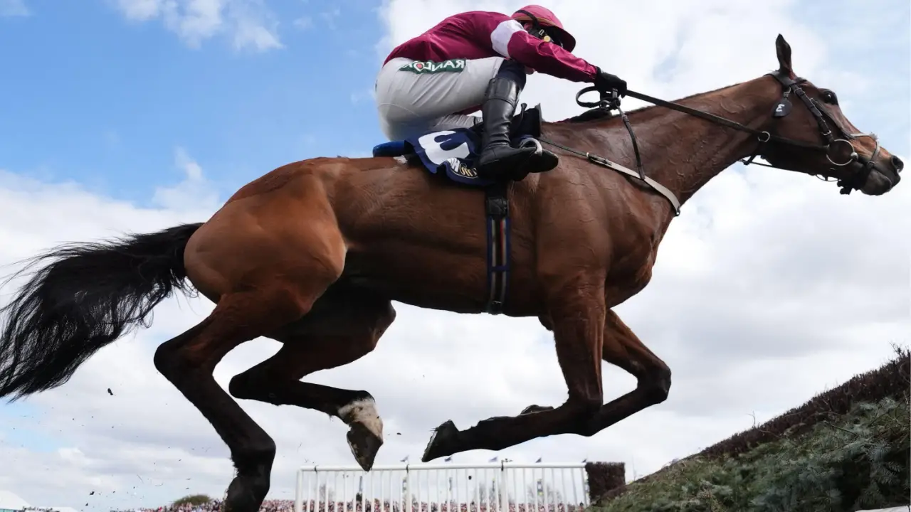 There's a shocking reason why the jockey who forced his injured horse to finish a race before it died won't be punished.