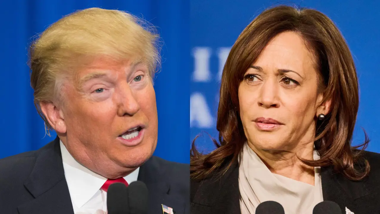 Person Asks World's Top Four AI Chatbots Who Will Win 2028 US Presidential Election And Gets Unexpected Answers 