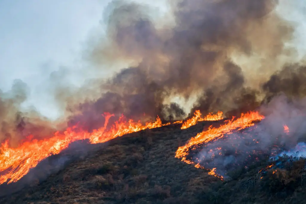 El Nino fire