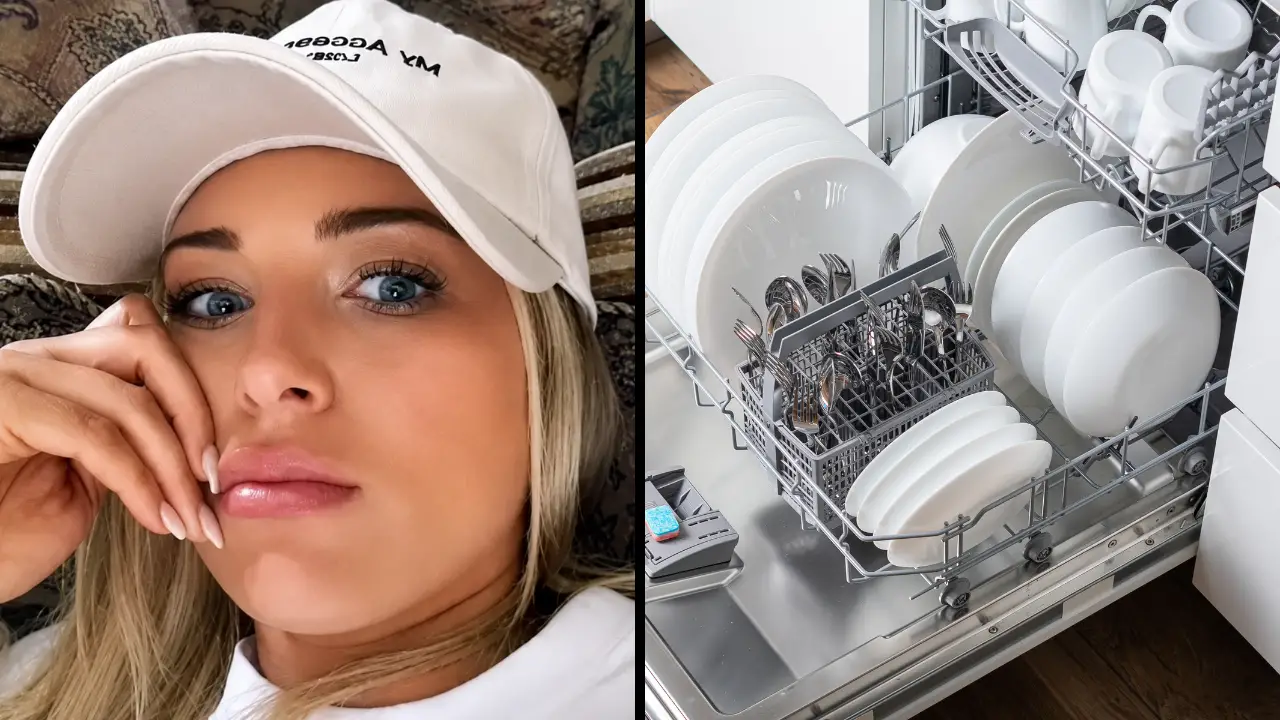 People Mindblown After Woman Discovers Secret Feature Inside Dishwashers