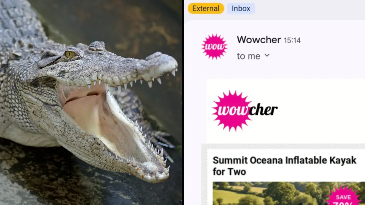 Coupon Company Apologizes For Disturbing Advert Mocking Toddler Thrown Into Crocodile Enclosure