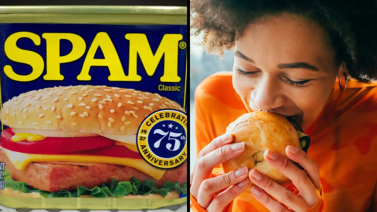 People Are Just Realizing What SPAM Actually Means