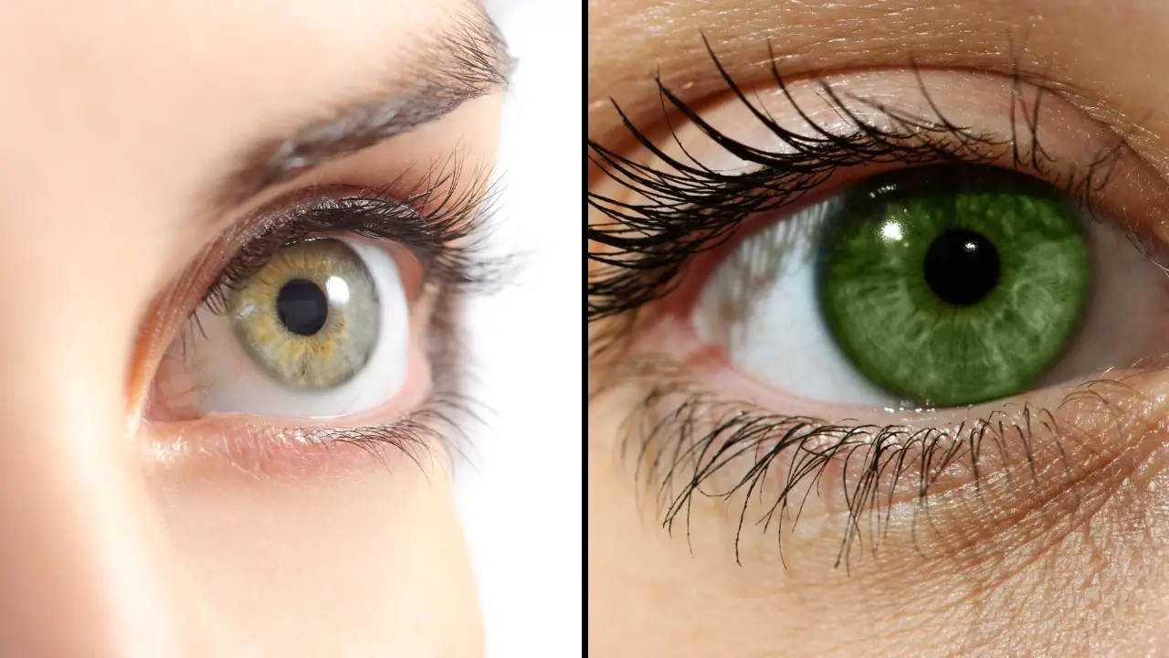 Green eyes have long been considered one of the most striking physical features a person can have, and all green-eyed people share one thing.