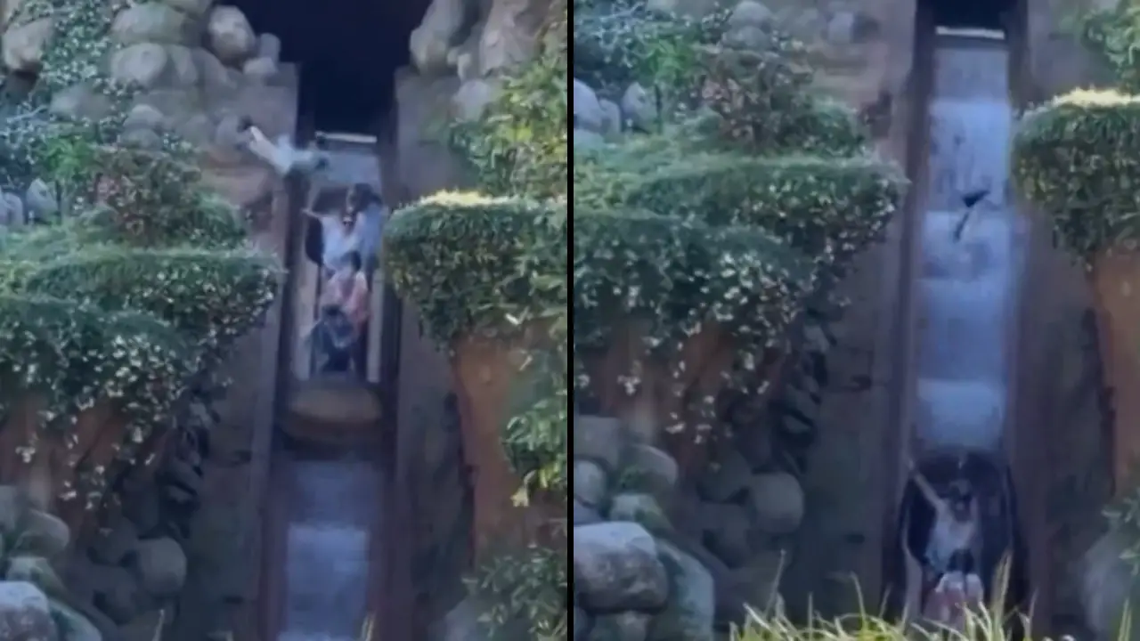 Boy, 13, Falls 50 Foot From Disneyland Ride After Exiting Midway Through