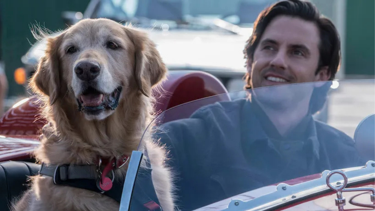 Disney Viewers Can’t Stop Crying After Watching 'Best Film Ever'